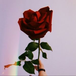 Meet your Posher, Eve 😻🌏💍